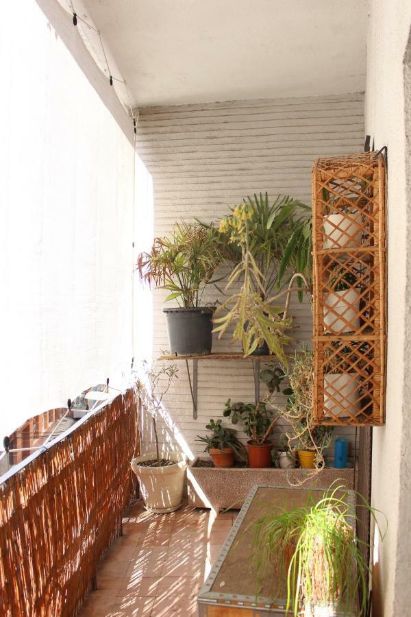 Apartamento Mercado-Centro 萨莫拉 外观 照片